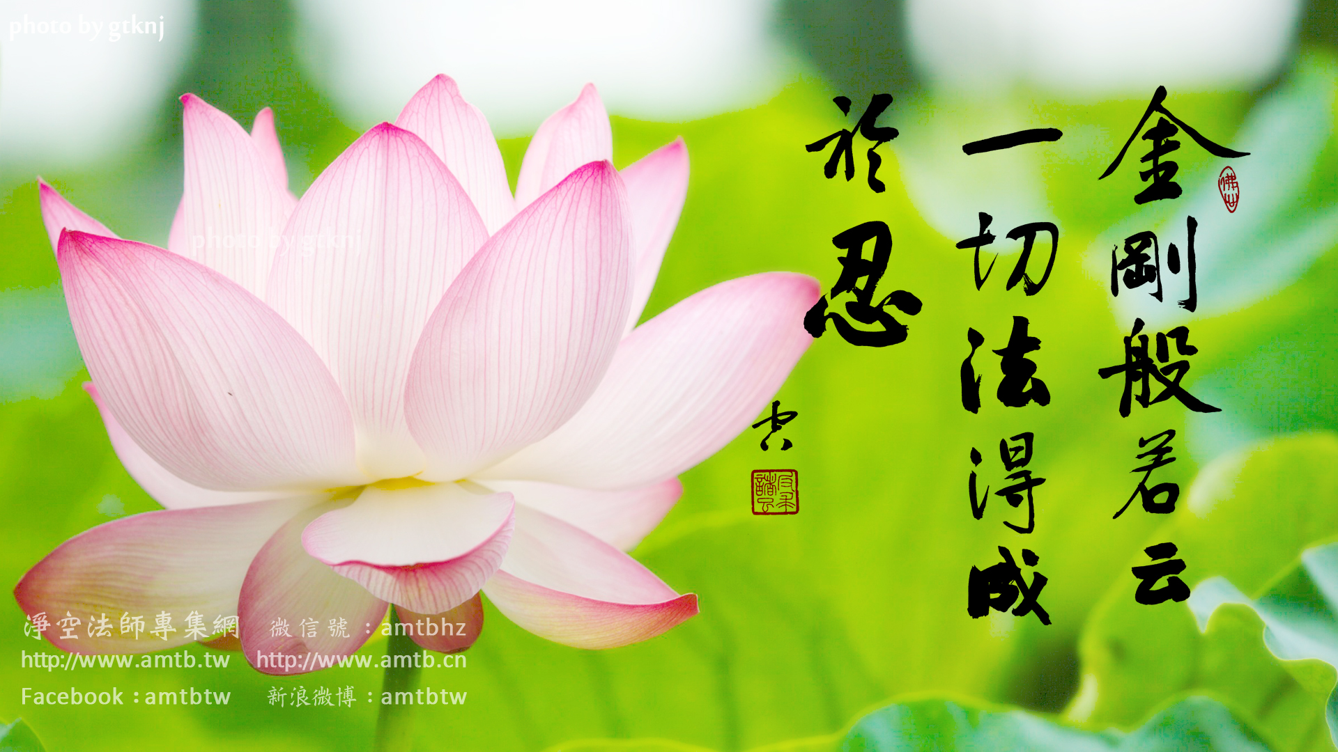 古刹巡礼——福善寺