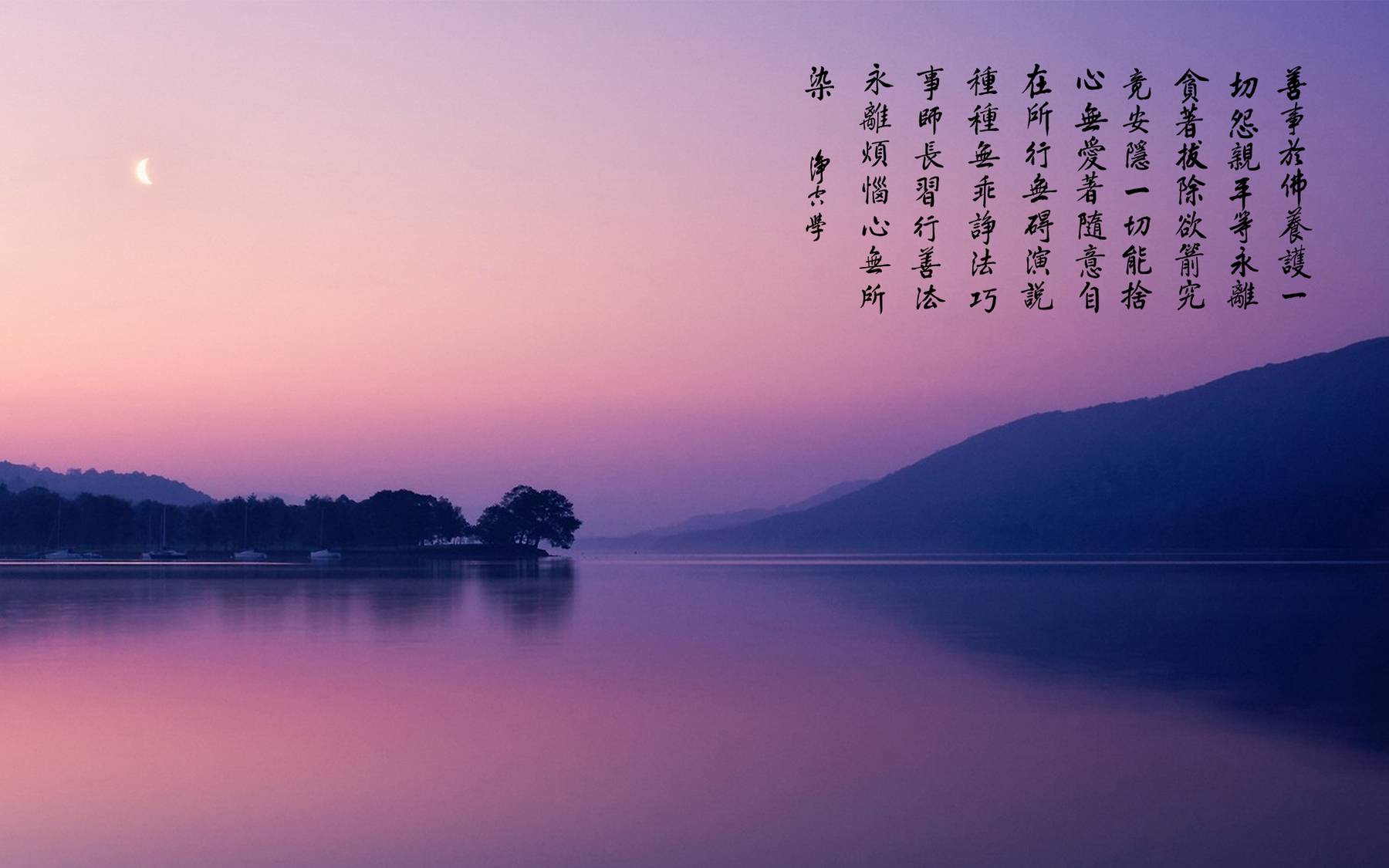 一声佛号一声心-古筝疗音版